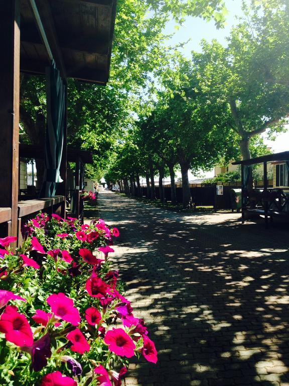 Camping Vallecrosia Exterior foto