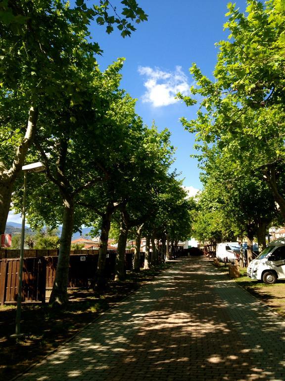 Camping Vallecrosia Exterior foto